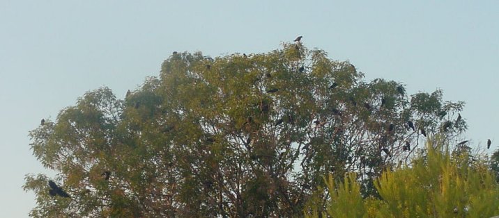 Image34.jpg