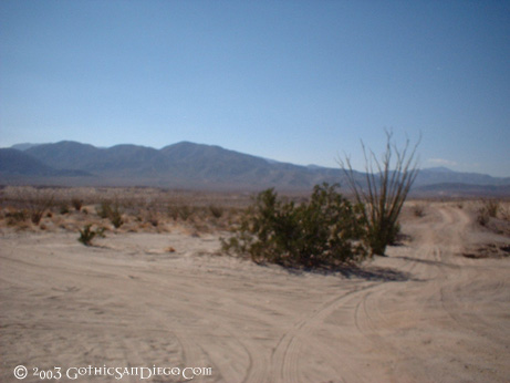 020104 - Borrego 014.jpg