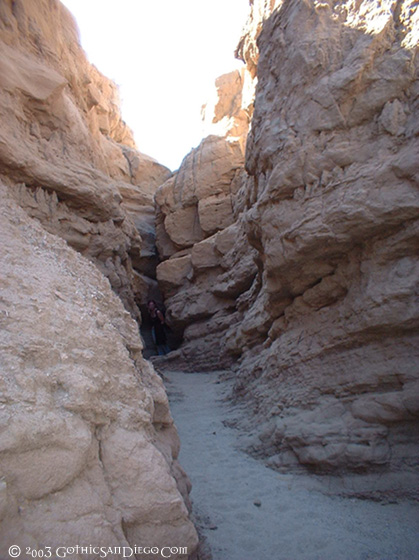 020104 - Borrego 024.jpg