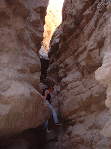 020104 - Borrego 033.jpg