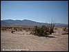 020104 - Borrego 014.jpg