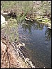 water39.jpg
