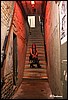 IMG_5472.jpg