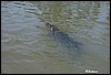 IMG_2953.jpg