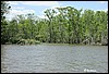 IMG_2972.jpg