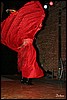IMG_1299.jpg